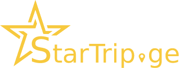 logo icon